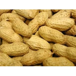 Premium Monkey Nuts In Shell 10kg